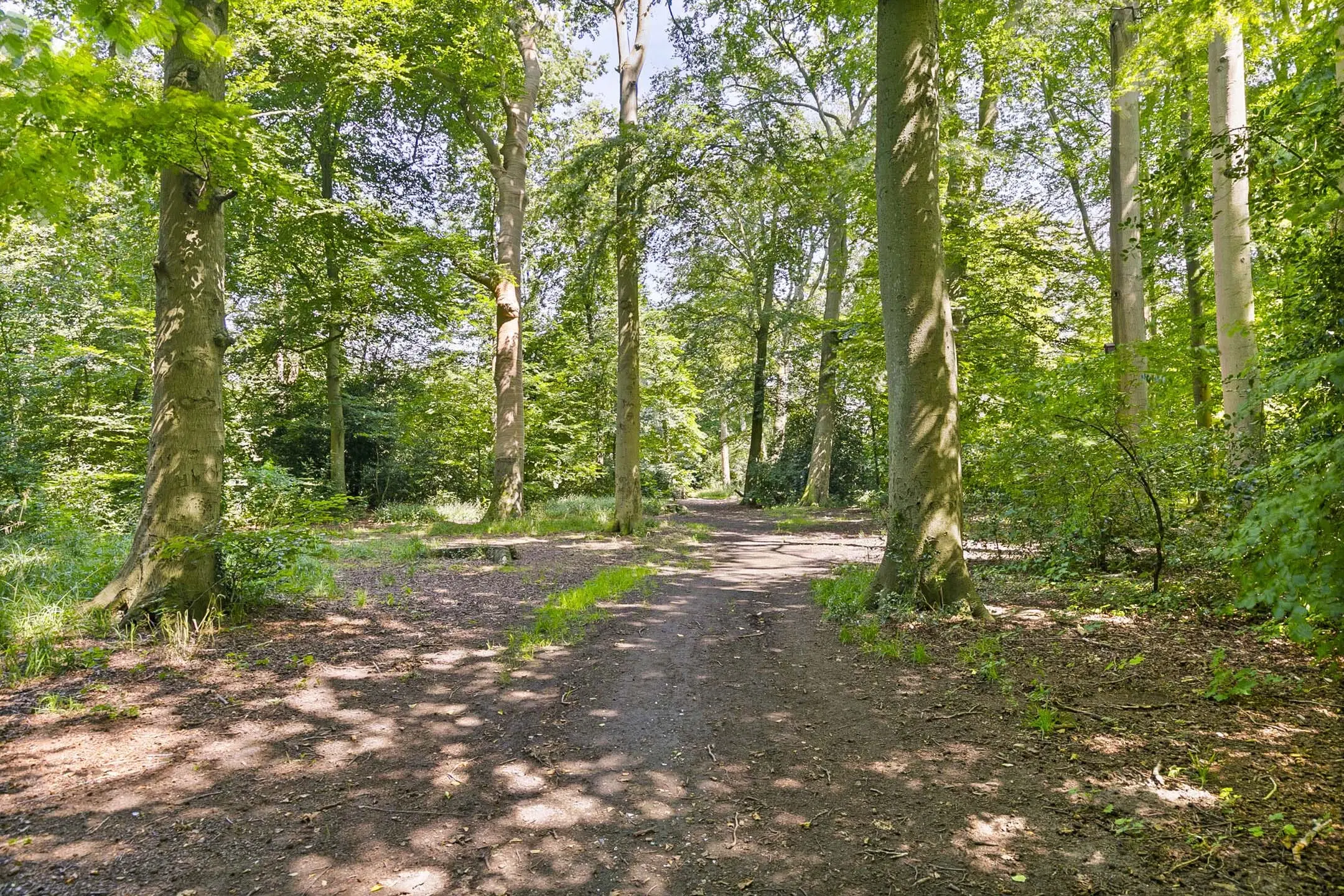 Landhuis Endymion (Koepellaan 2) te Bloemendaal