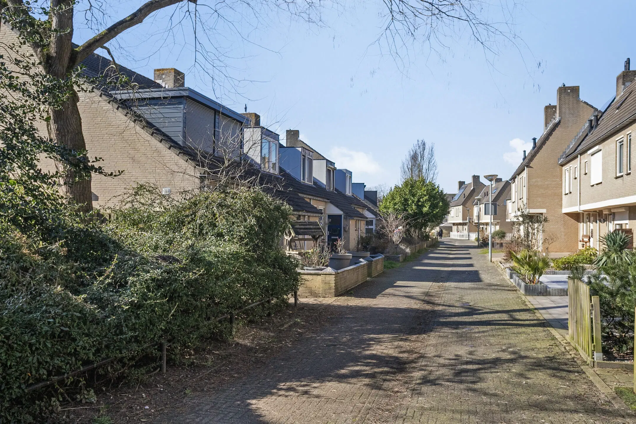 Venlo, Ligusterpad 44