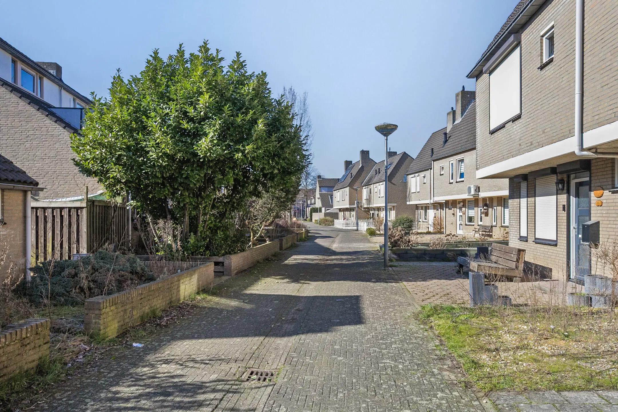Venlo, Ligusterpad 44