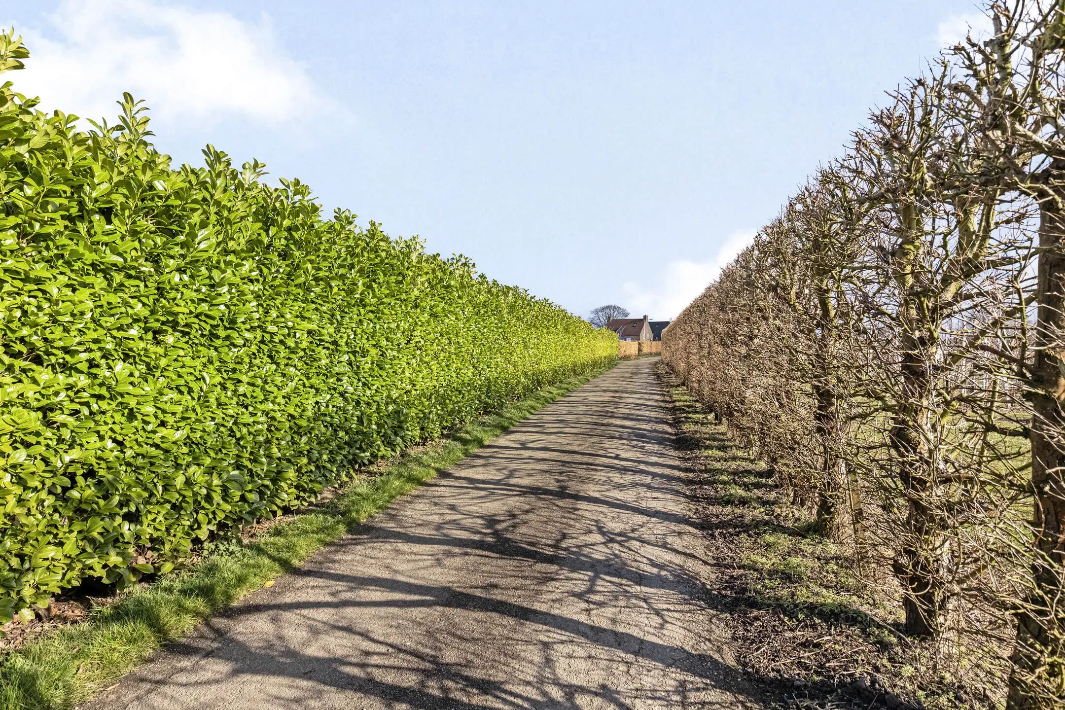 Tiel, Rijsakkerweg 14
