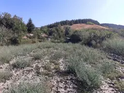 Klassiek Balkanhuis op 2.824 m² bebouwbare grond in Dragomirovo, Veliko Tarnovo - Bulgarije