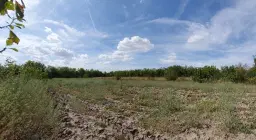 Klassiek Balkanhuis op 2.824 m² bebouwbare grond in Dragomirovo, Veliko Tarnovo - Bulgarije