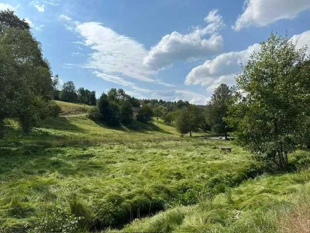 Renovatie woonhuis op een unieke locatie in Hermsgrün, Erzgebirge - Vogtland - Duitsland