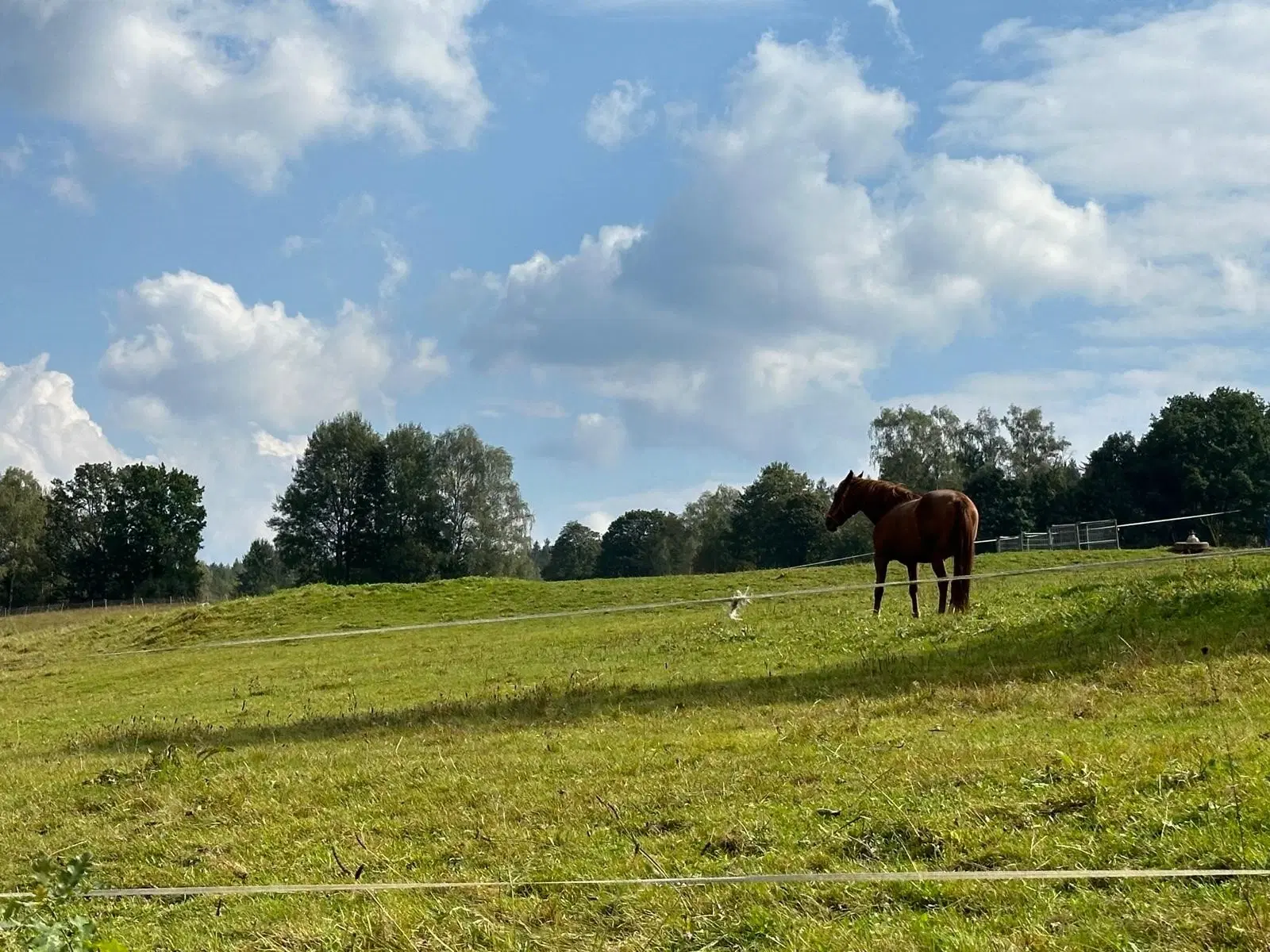 Renovatie woonhuis op een unieke locatie in Hermsgrün, Erzgebirge - Vogtland - Duitsland