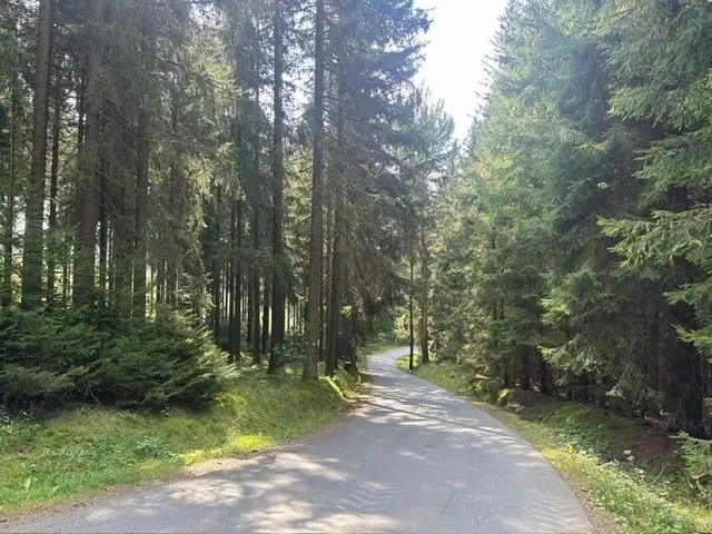 Renovatie woonhuis op een unieke locatie in Hermsgrün, Erzgebirge - Vogtland - Duitsland