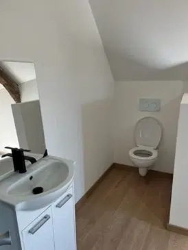 Gerenoveerd herenhuis met 6 slaapkamers / studios in La Trimouille, Frankrijk