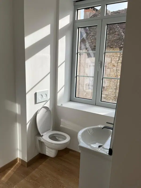 Gerenoveerd herenhuis met 6 slaapkamers / studios in La Trimouille, Frankrijk