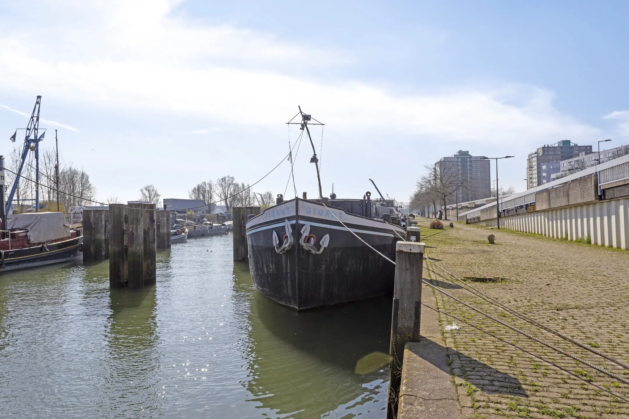 Motorschip 'Gigant' te Schiedam
