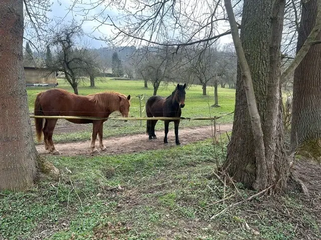Perceel van ca. 2.050 m² in Kahla, Thüringen - Duitsland