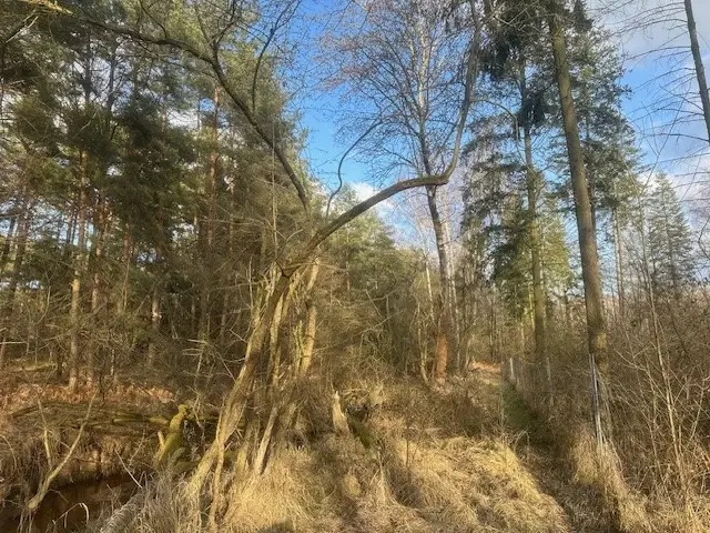 Ca. 5.060 m² "bootcamp" baan in Daubitz, Weißwasser - Duitsland