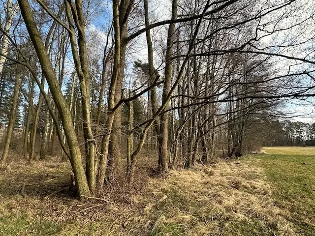 Ca. 5.060 m² "bootcamp" baan in Daubitz, Weißwasser - Duitsland