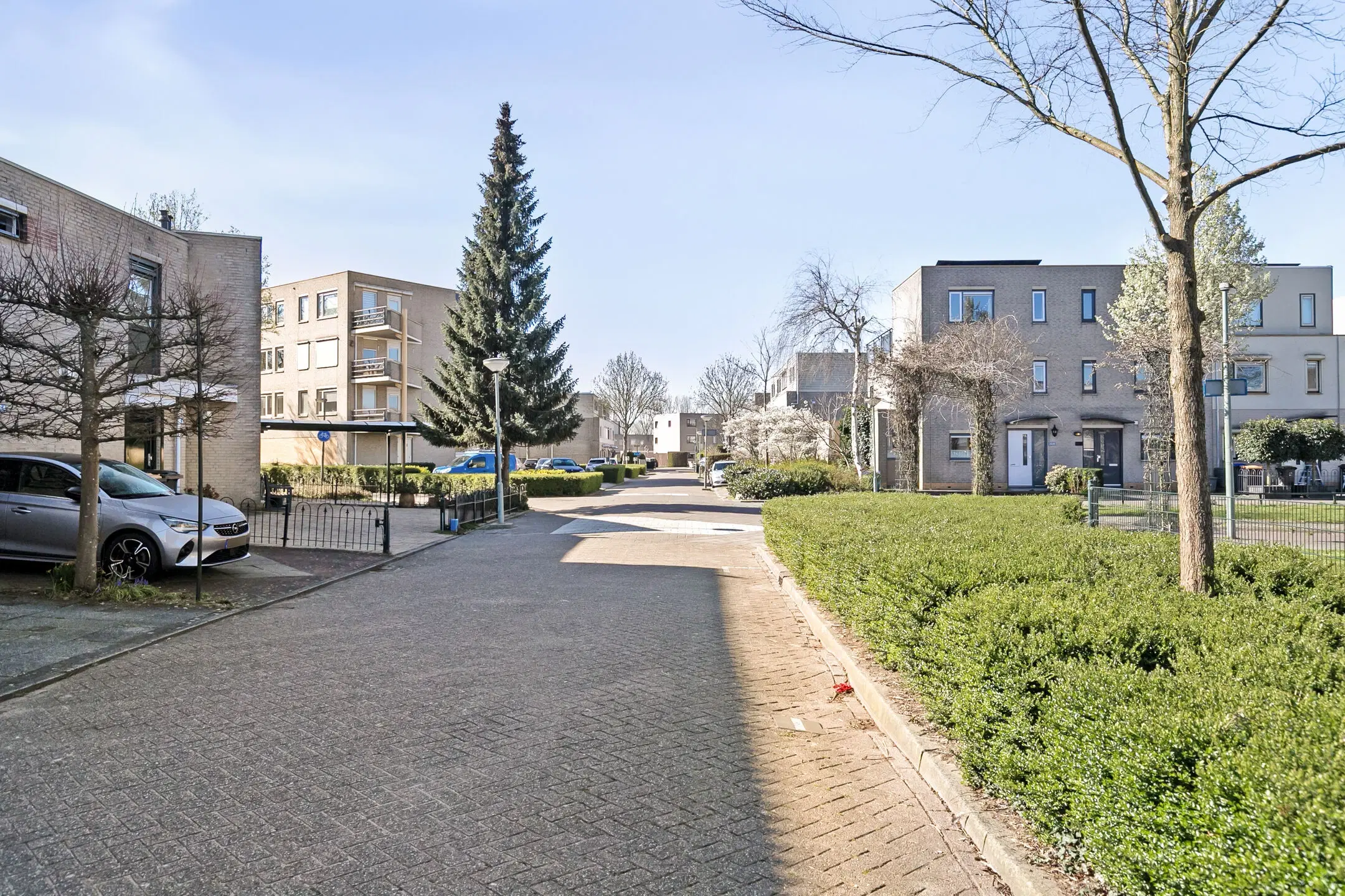 Dordrecht, Meranti 204