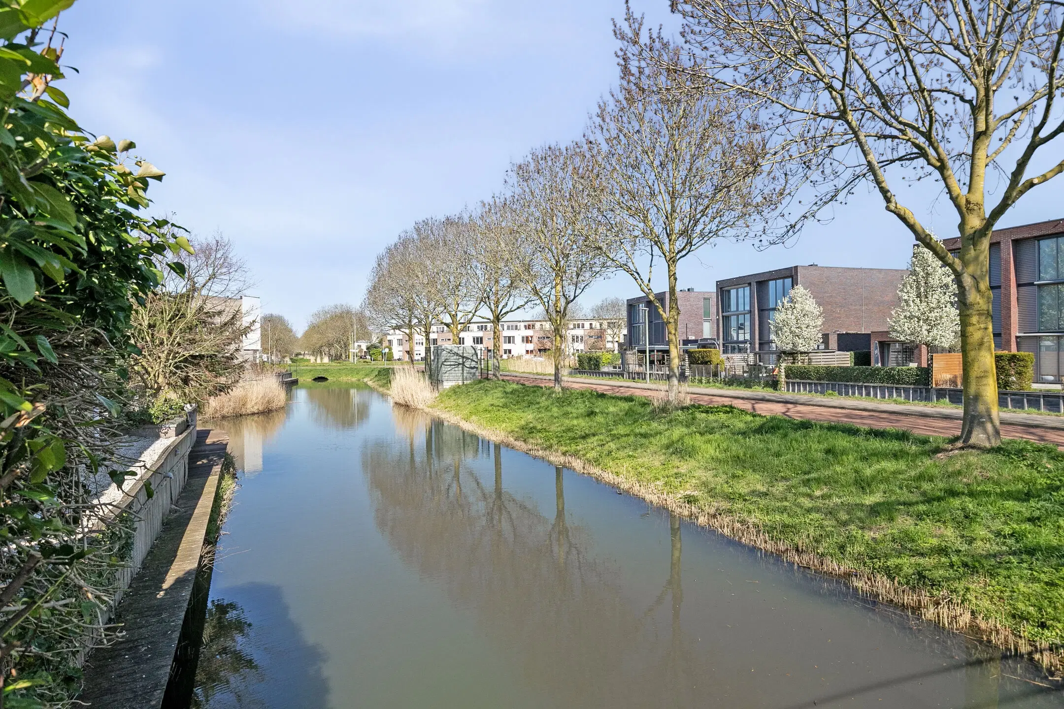 Dordrecht, Meranti 204