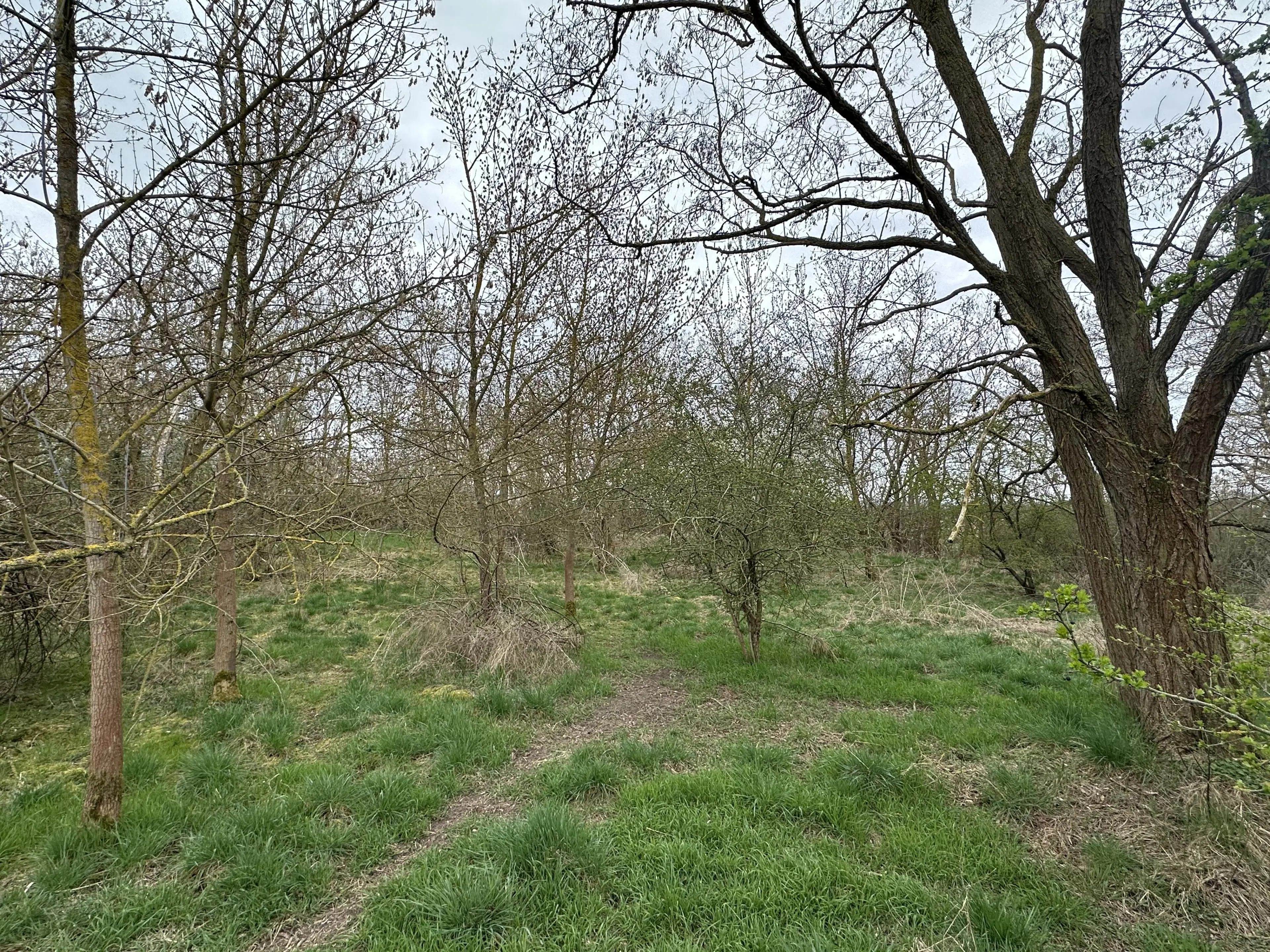 Perceel van 16.983 m2 vol charme en historie in Oschersleben, nabij Maagdenburg, Duitsland