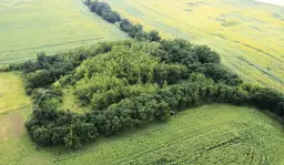 Perceel van 16.983 m2 vol charme en historie in Oschersleben, nabij Maagdenburg, Duitsland