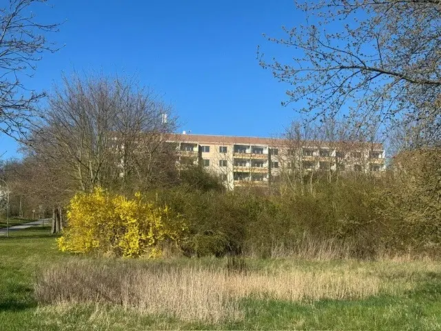 40 appartementen, bouwjaar 1987, op 2.378 m² perceel met parkzicht in Wiehe Halle, Leipzig - Duitsland