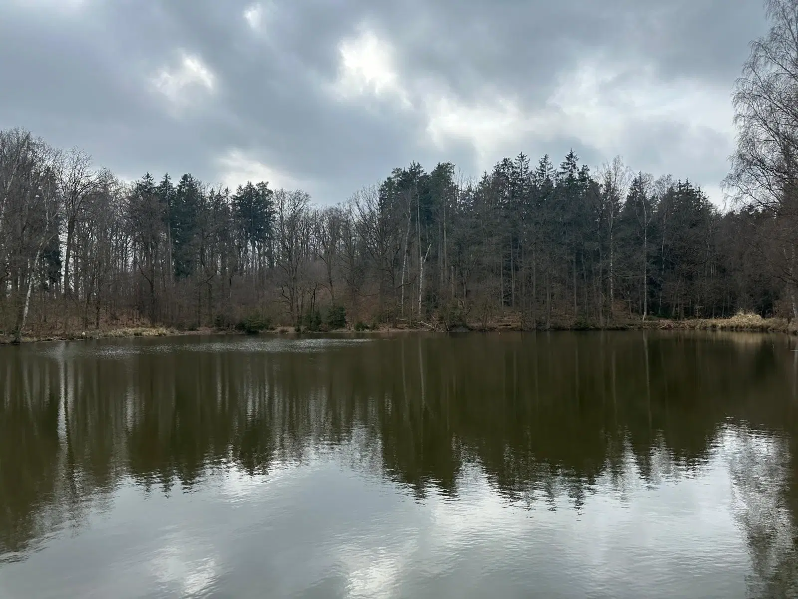40 appartementen, bouwjaar 1987, op 2.378 m² perceel met parkzicht in Wiehe Halle, Leipzig - Duitsland