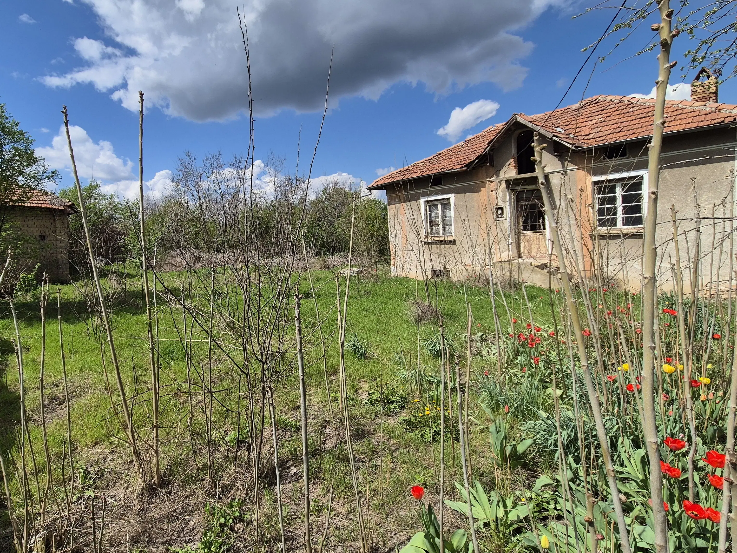 Huis + bijgebouw + 1.700 m² grond in Chervena, Veliko Tarnovo - Bulgarije