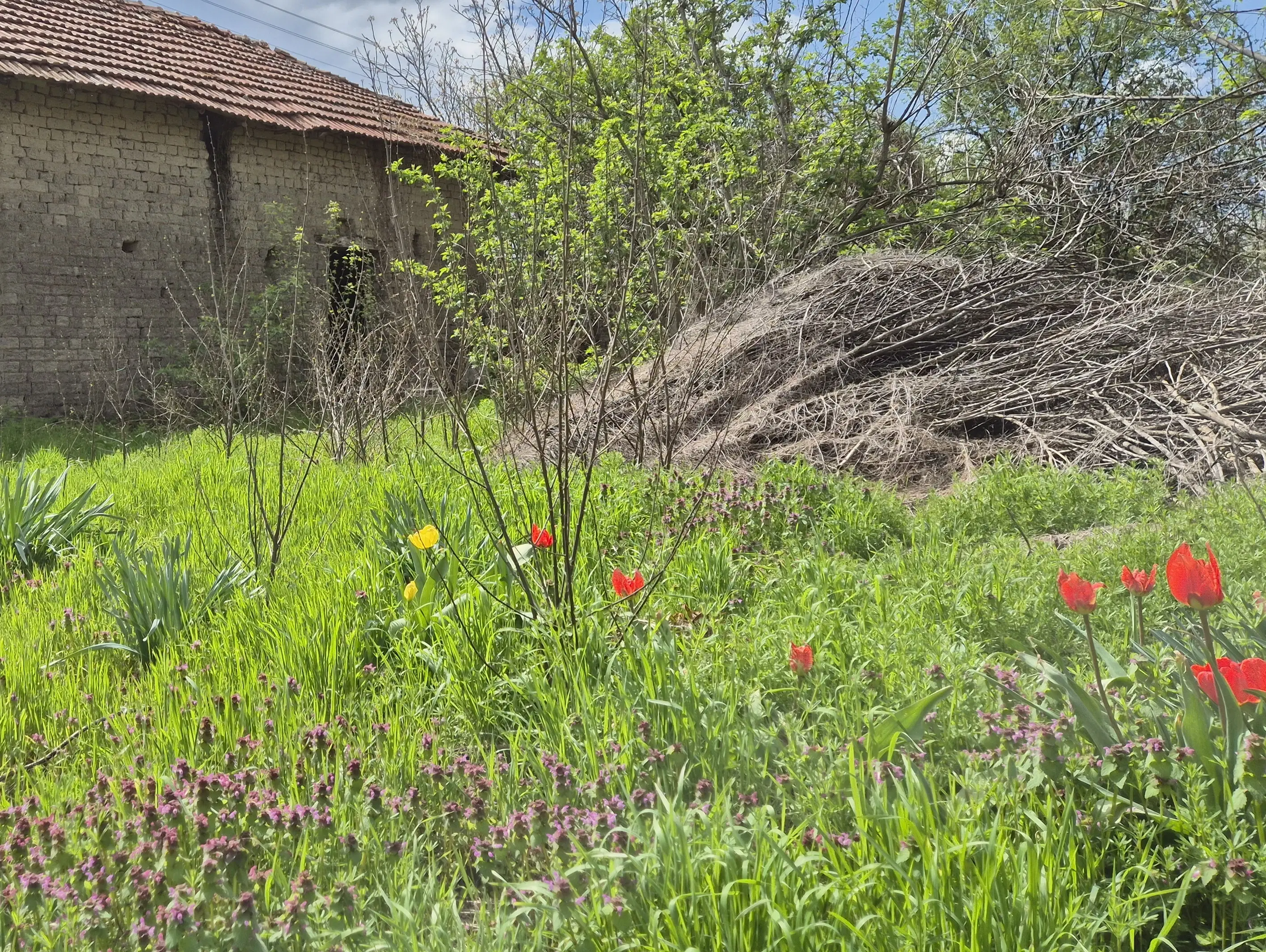 Huis + bijgebouw + 1.700 m² grond in Chervena, Veliko Tarnovo - Bulgarije