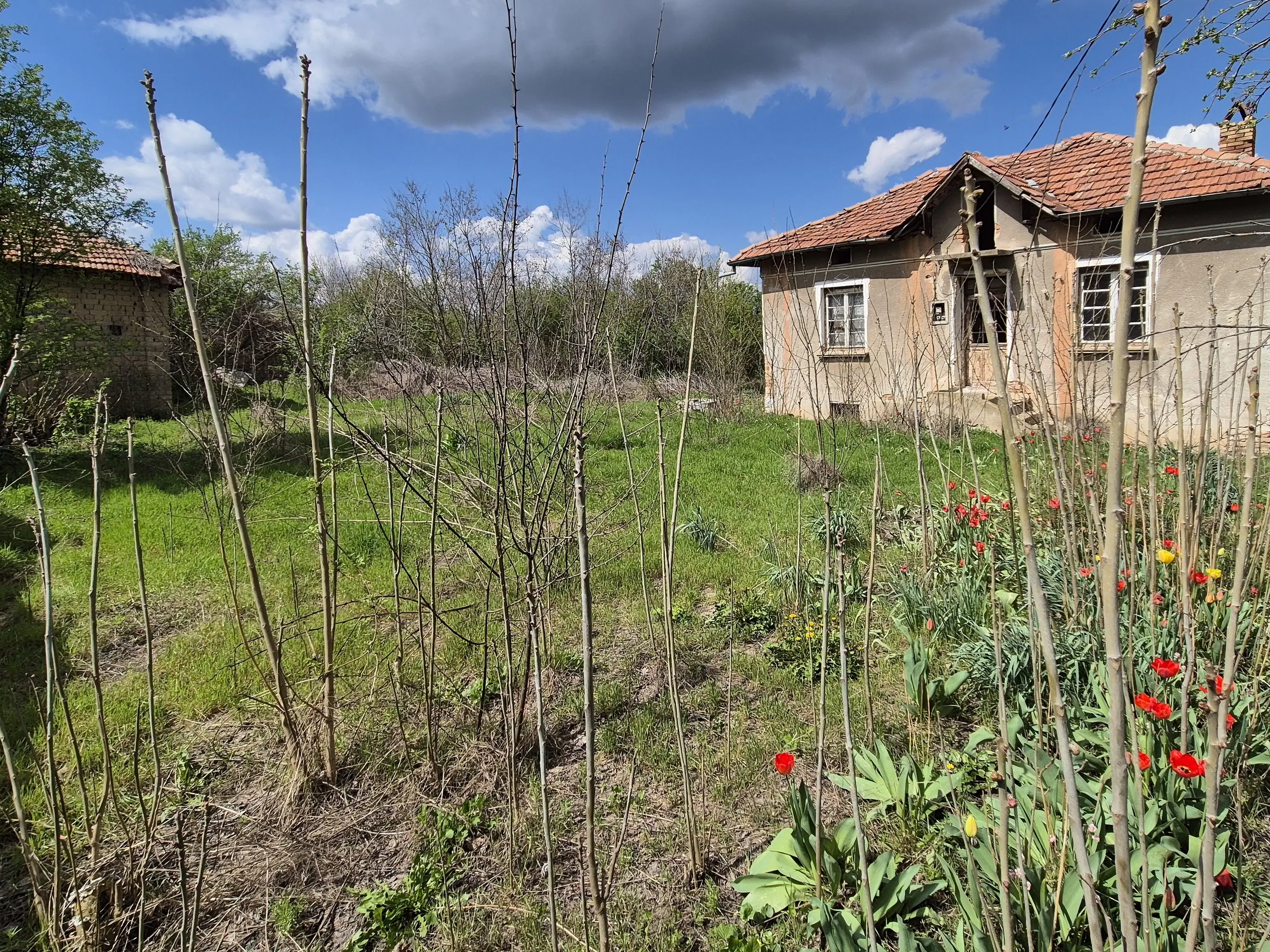 Huis + bijgebouw + 1.700 m² grond in Chervena, Veliko Tarnovo - Bulgarije