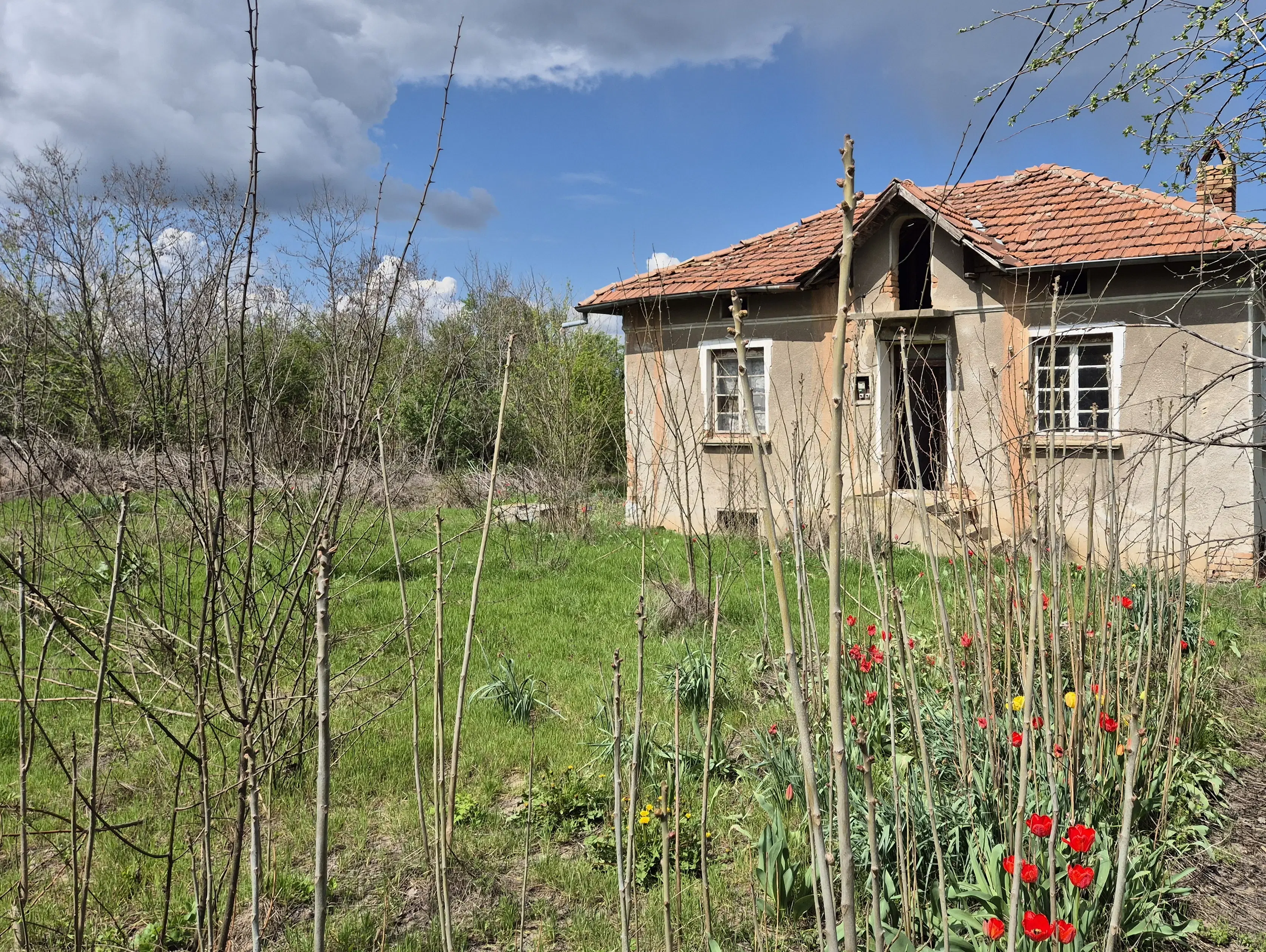 Huis + bijgebouw + 1.700 m² grond in Chervena, Veliko Tarnovo - Bulgarije