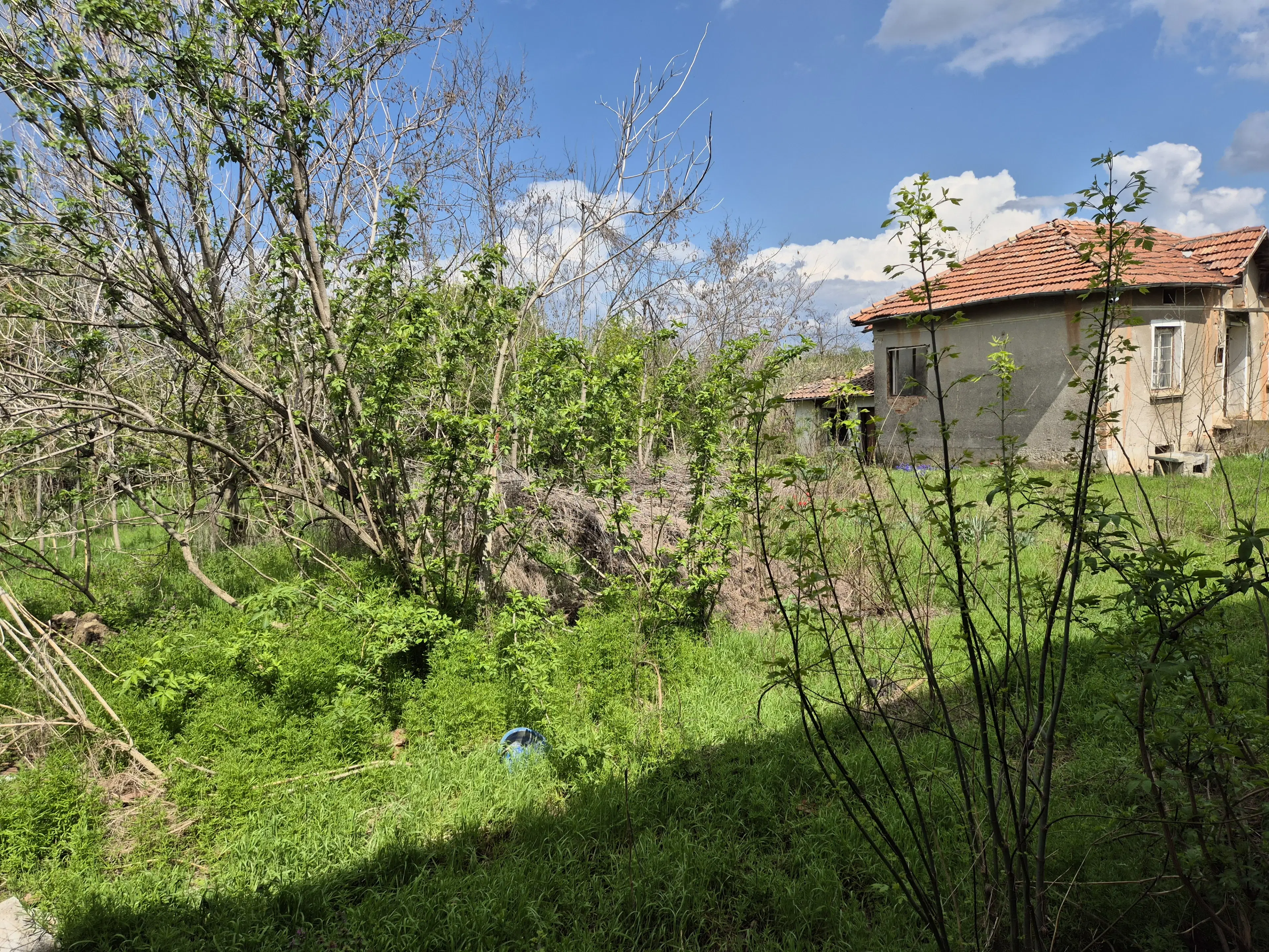 Huis + bijgebouw + 1.700 m² grond in Chervena, Veliko Tarnovo - Bulgarije