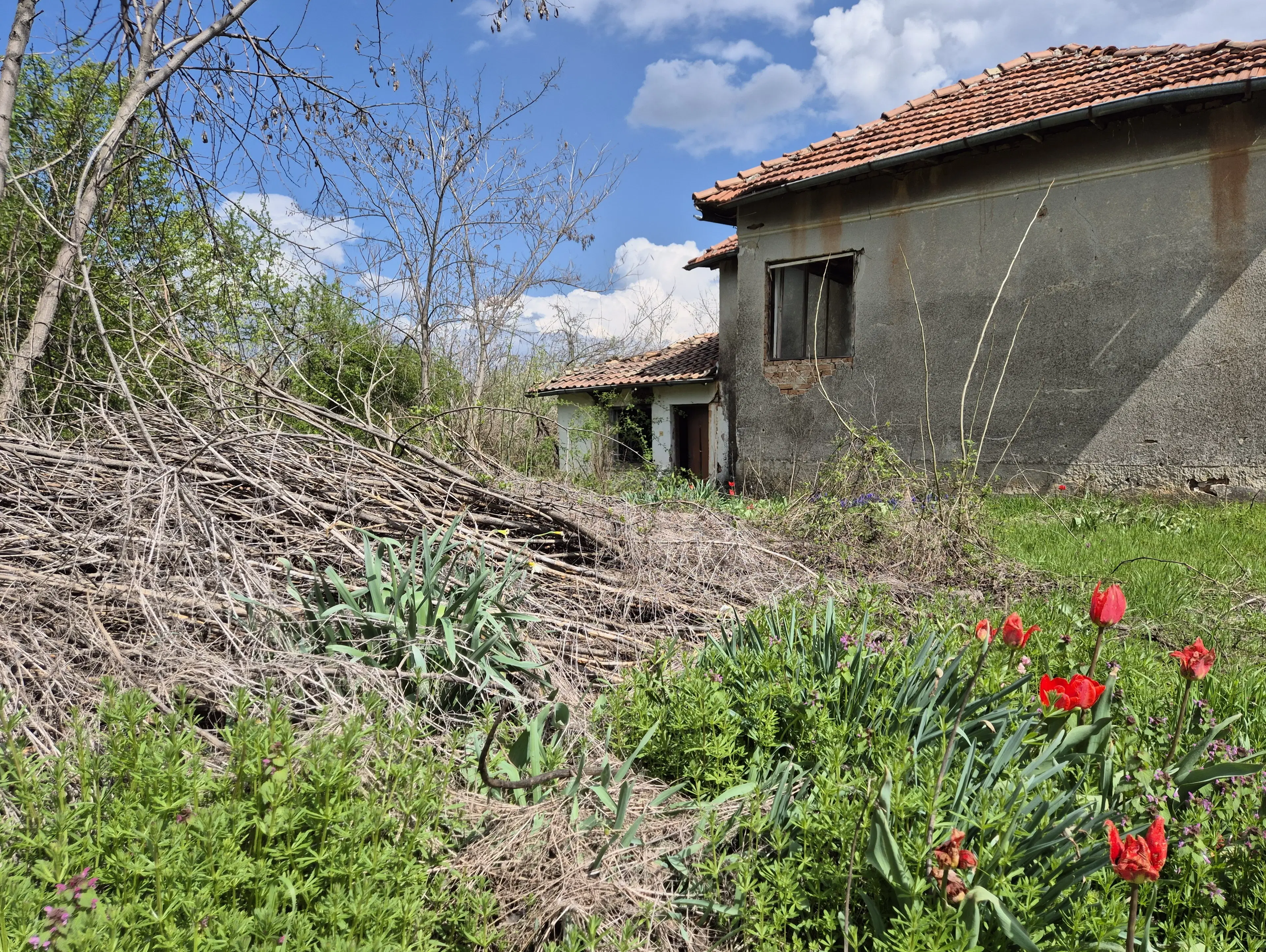 Huis + bijgebouw + 1.700 m² grond in Chervena, Veliko Tarnovo - Bulgarije