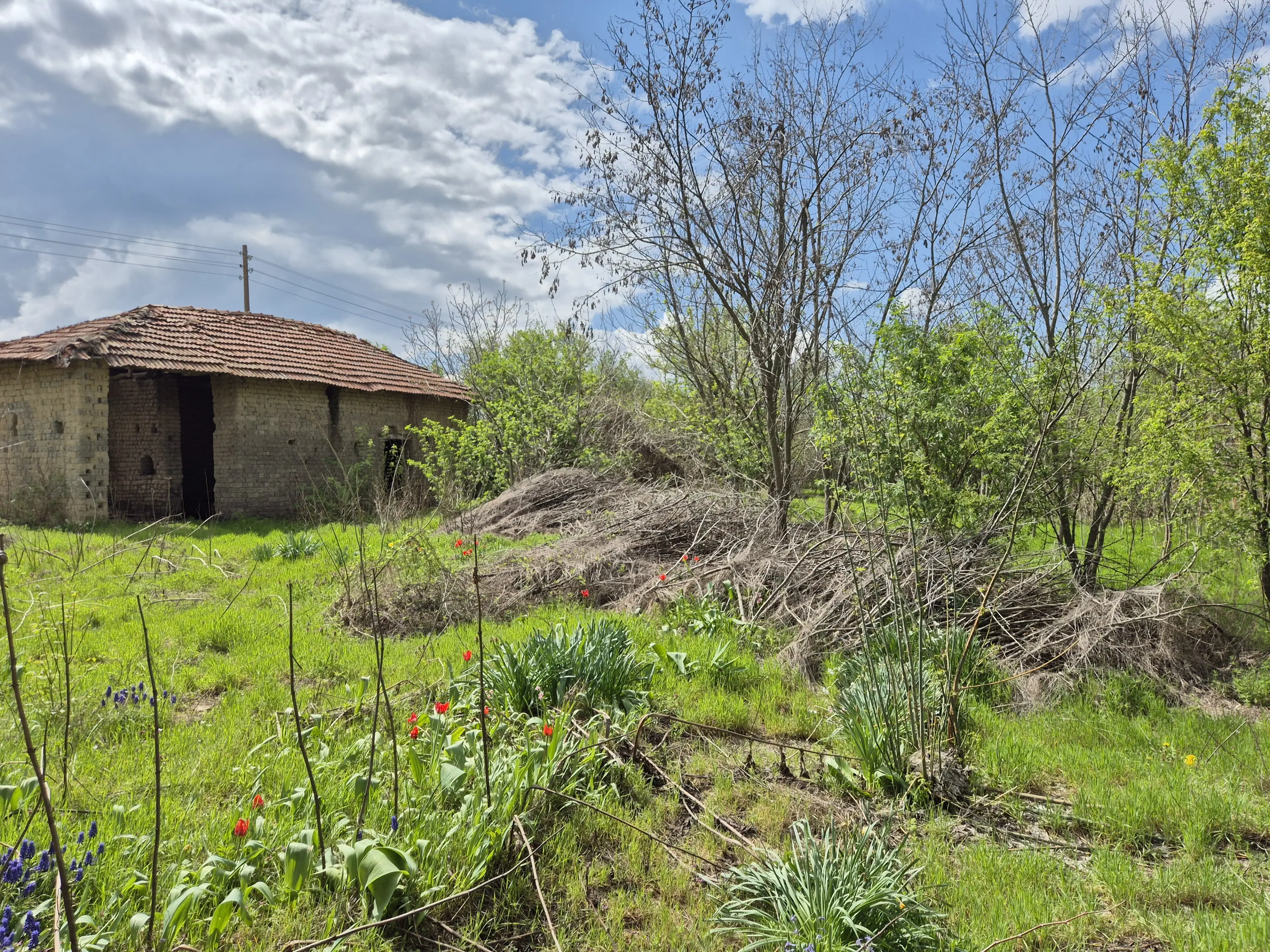 Huis + bijgebouw + 1.700 m² grond in Chervena, Veliko Tarnovo - Bulgarije