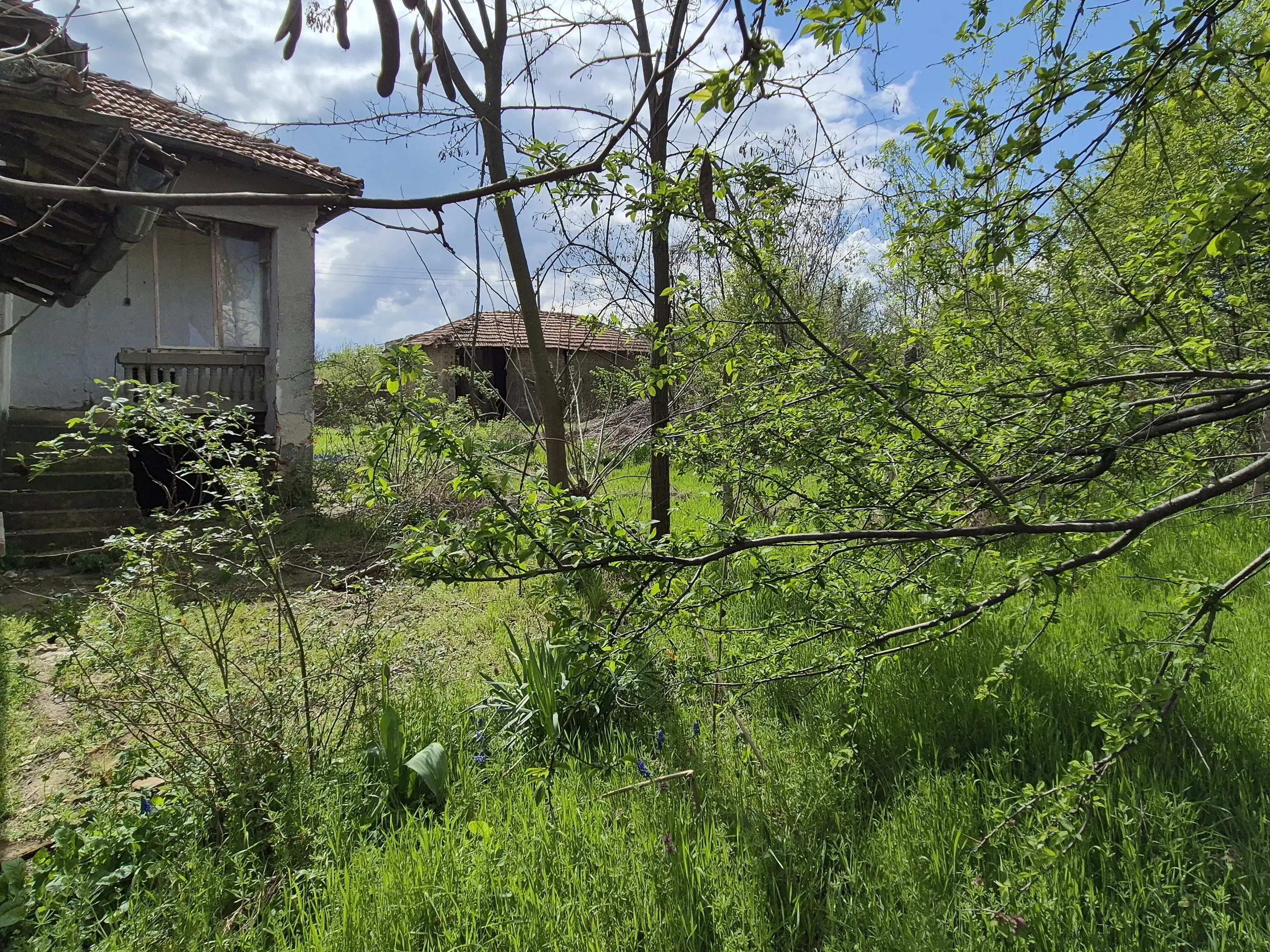 Huis + bijgebouw + 1.700 m² grond in Chervena, Veliko Tarnovo - Bulgarije