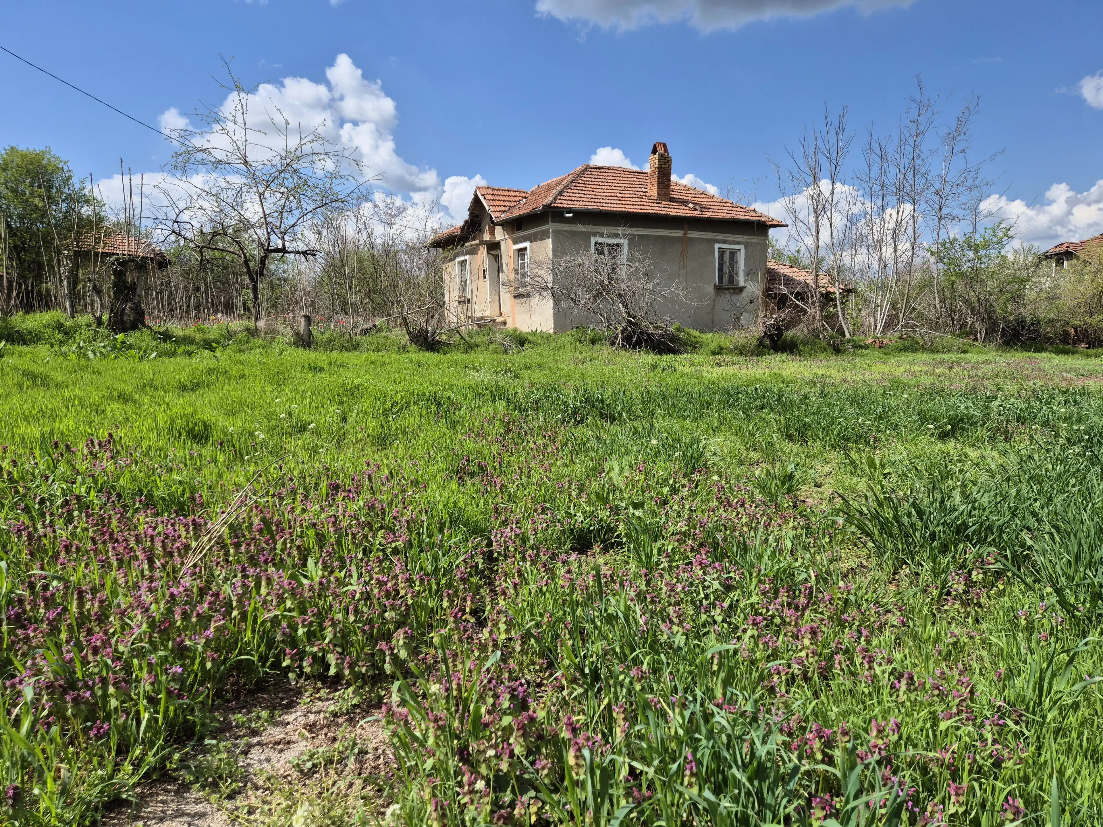 Huis + bijgebouw + 1.700 m² grond in Chervena, Veliko Tarnovo - Bulgarije