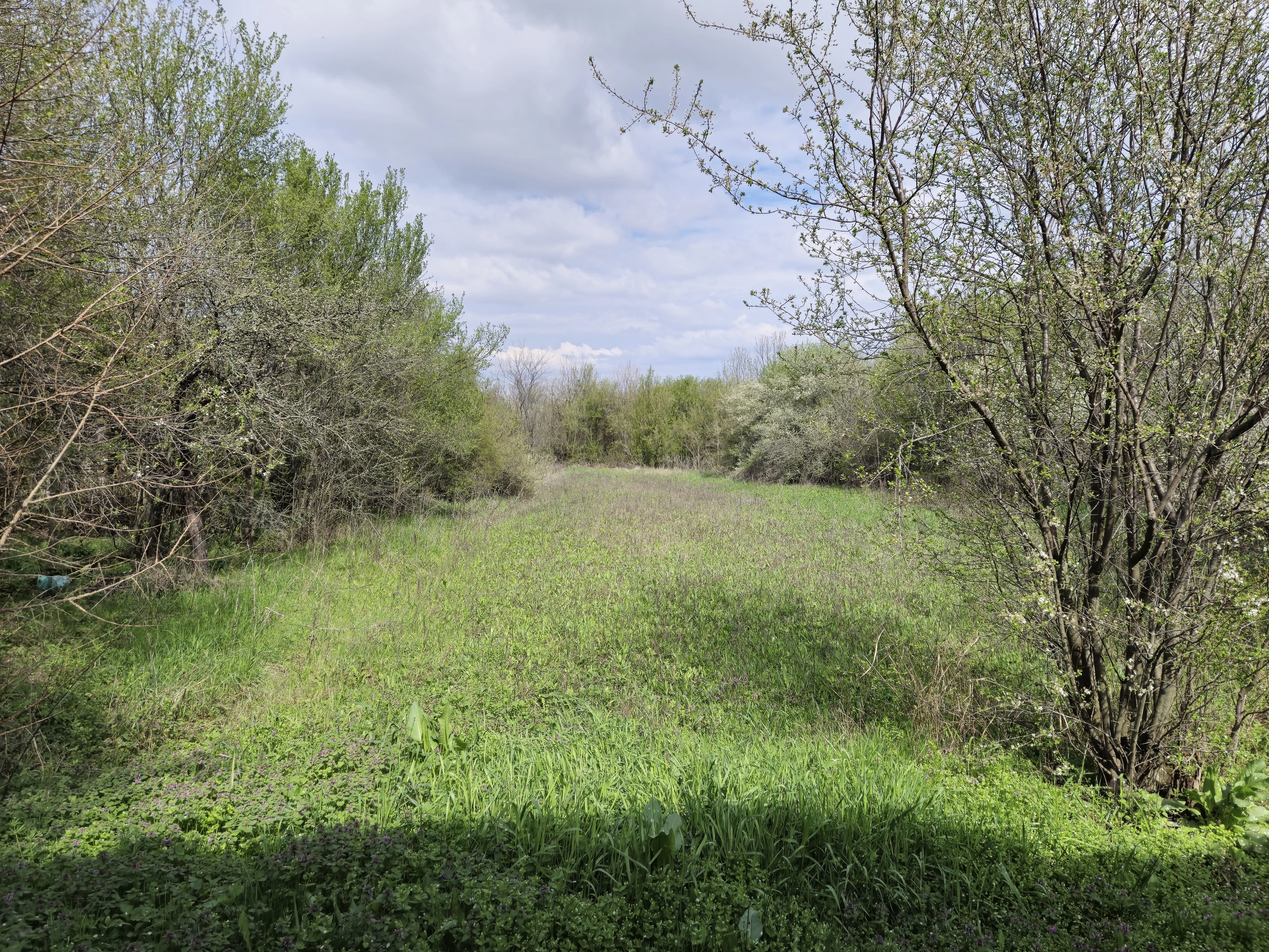 Balkan-stijl klassiek huis, schuur en 2 percelen totaal 1.478 m² in Tsar Petrovo - Bulgarije