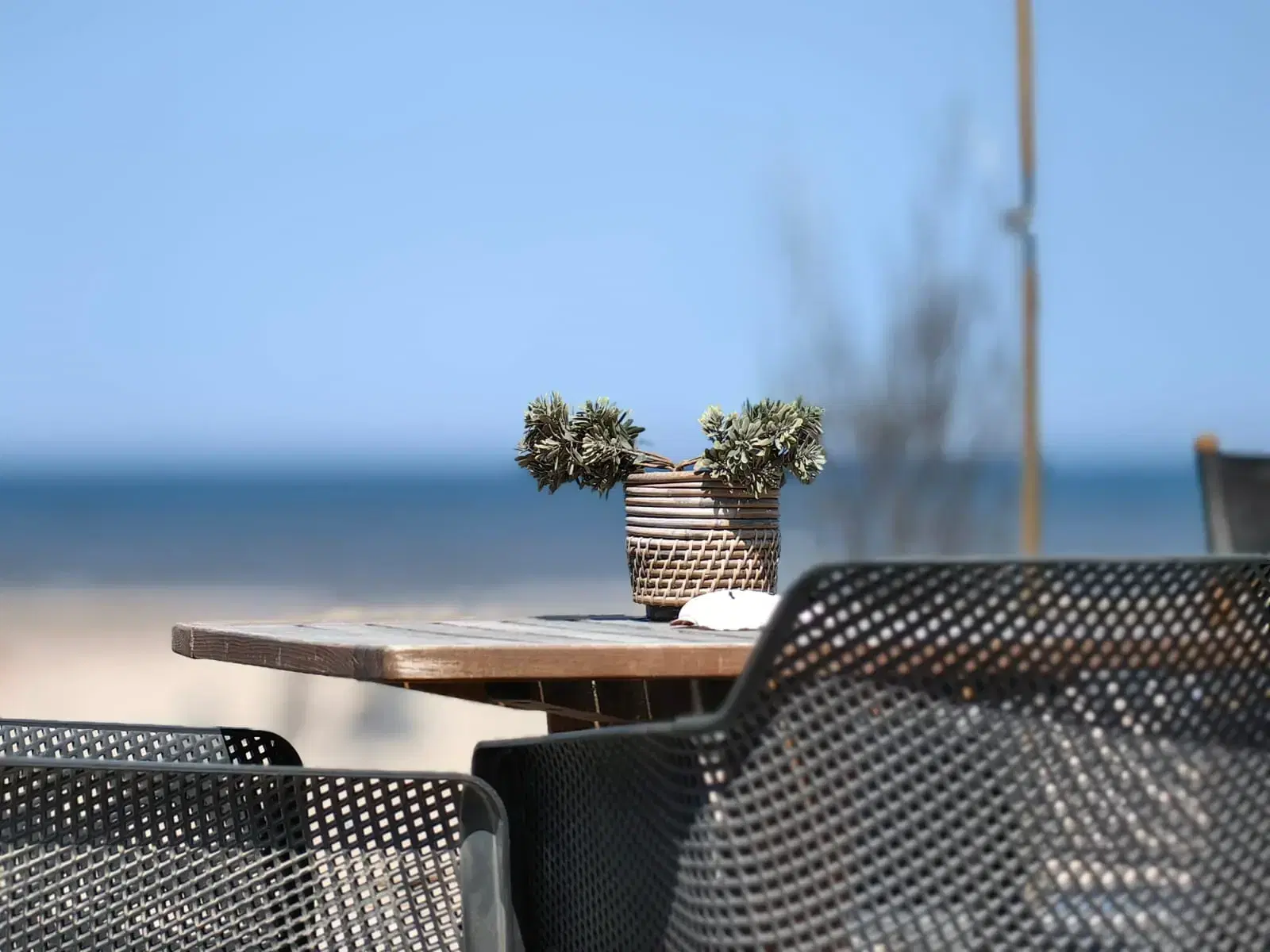 Laguna Beach Strandpaviljoen - Vogelenzang