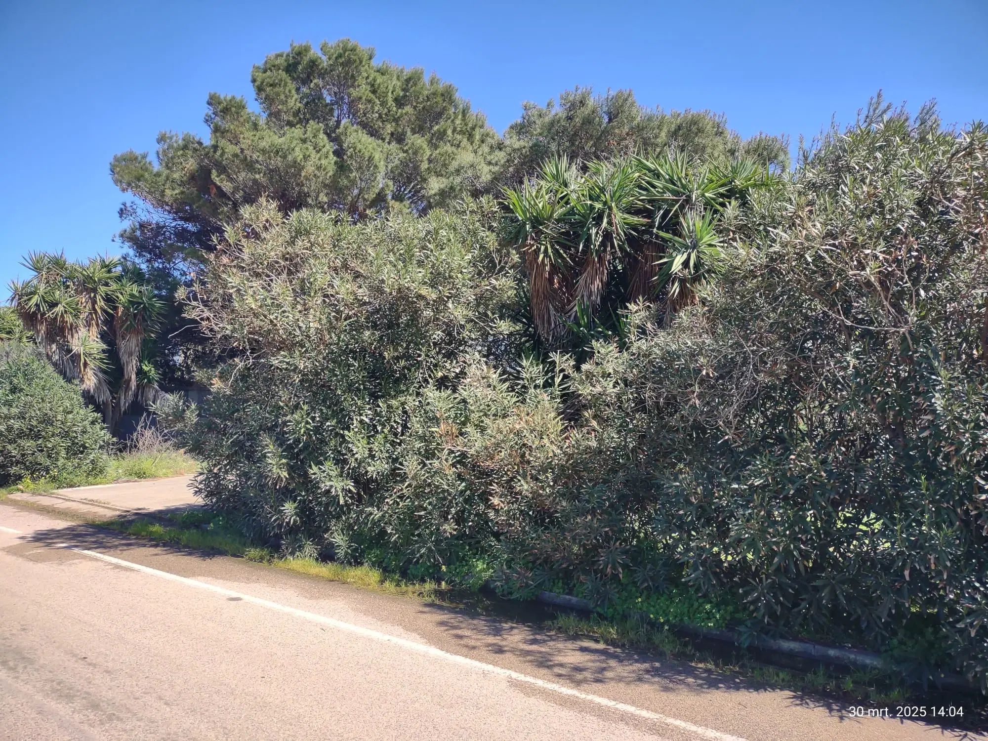 Industrieterrein met loods in het havengebied van Porto Torres (SS), Sardinië - Italië - 2021