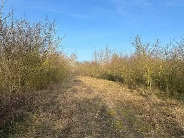 Perceel ca. 1,5 ha met karakteristieke spoorbrug in Oderberg, Berlijn - Duitsland