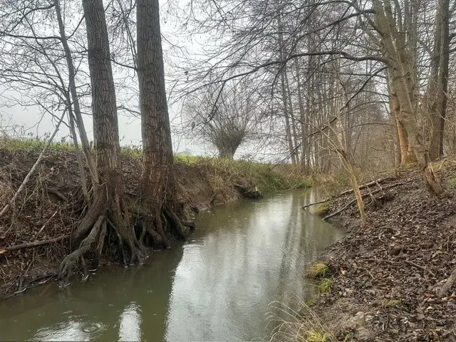 Perceel ca. 505 m² "off grid" in Mügeln - Duitsland