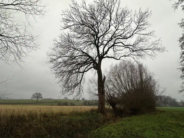 Perceel ca. 505 m² "off grid" in Mügeln - Duitsland