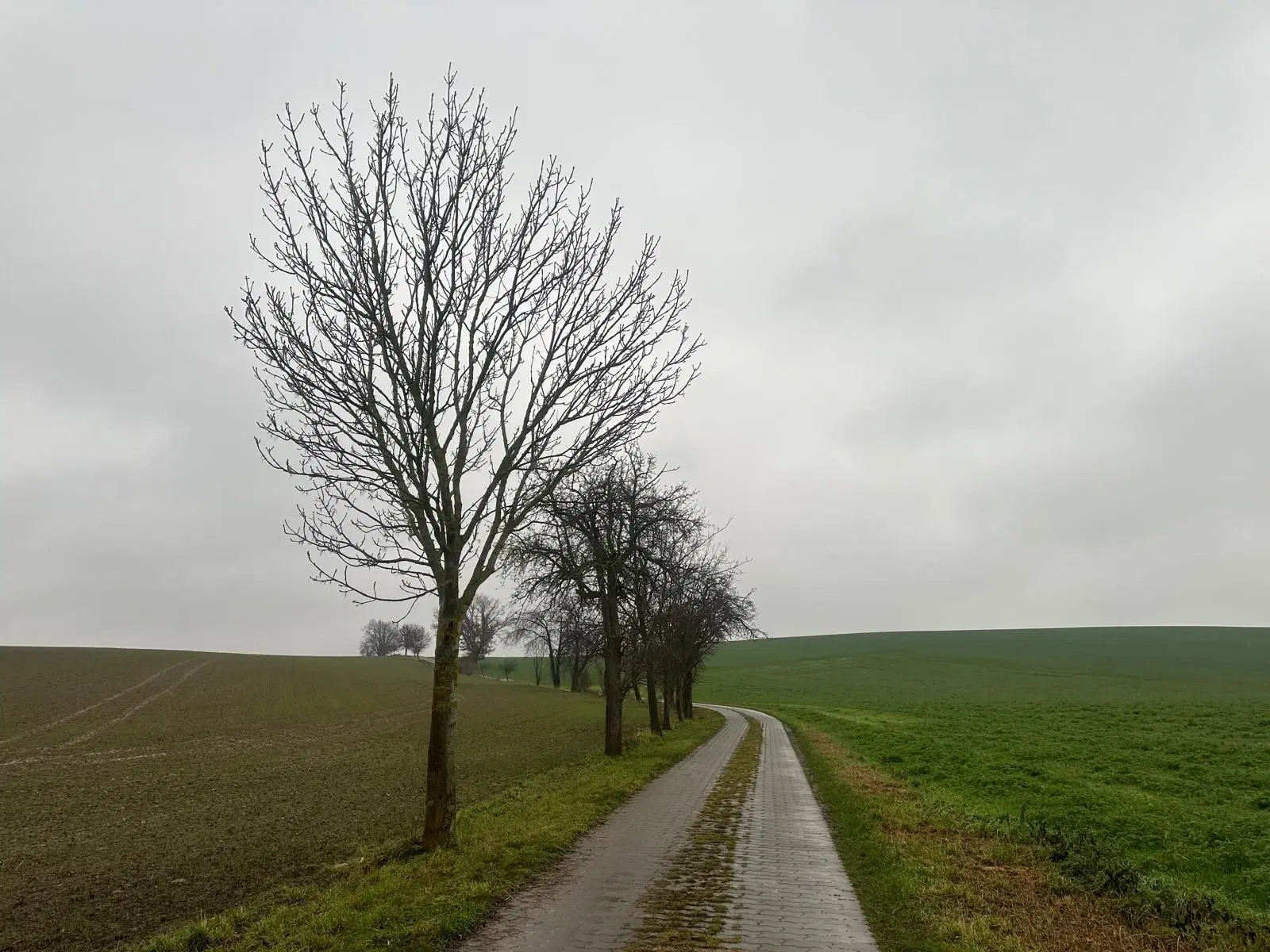 Perceel ca. 505 m² "off grid" in Mügeln - Duitsland