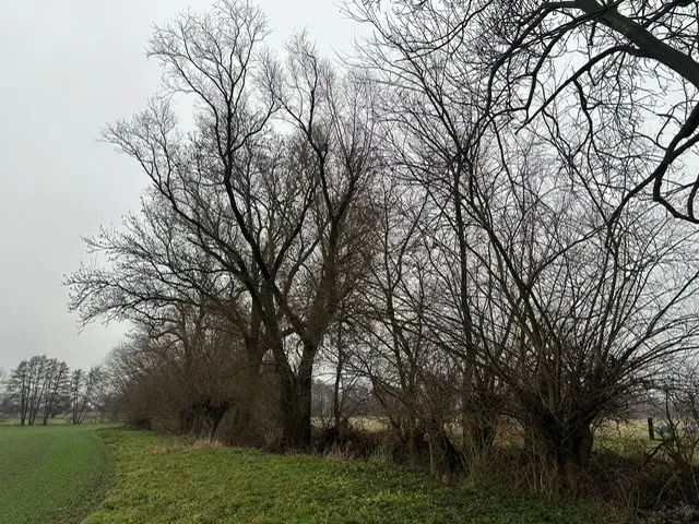 Perceel ca. 505 m² "off grid" in Mügeln - Duitsland