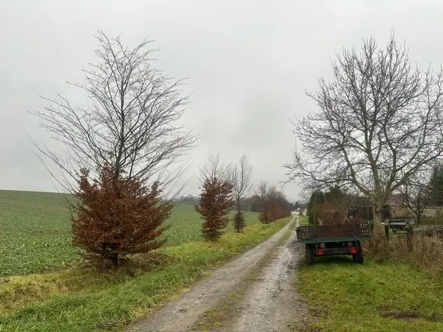 Eigendom perceel van 530 m² in Berntitz, Saksen - Duitsland