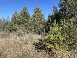 2 vrije percelen van totaal 4.710 m² in Spremberg, Brandenburg - Duitsland