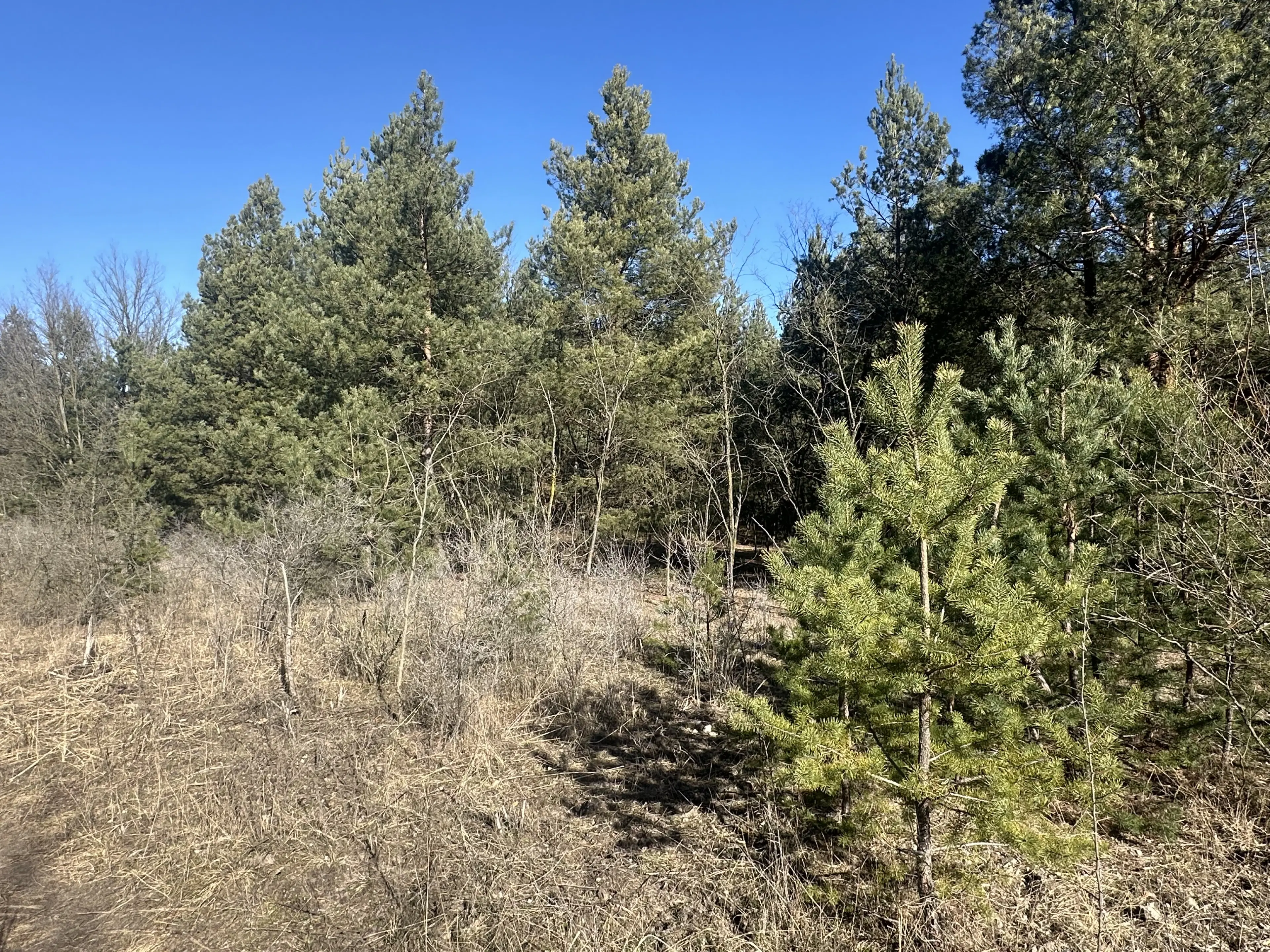 2 vrije percelen van totaal 4.710 m² in Spremberg, Brandenburg - Duitsland