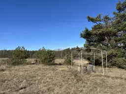 2 vrije percelen van totaal 4.710 m² in Spremberg, Brandenburg - Duitsland