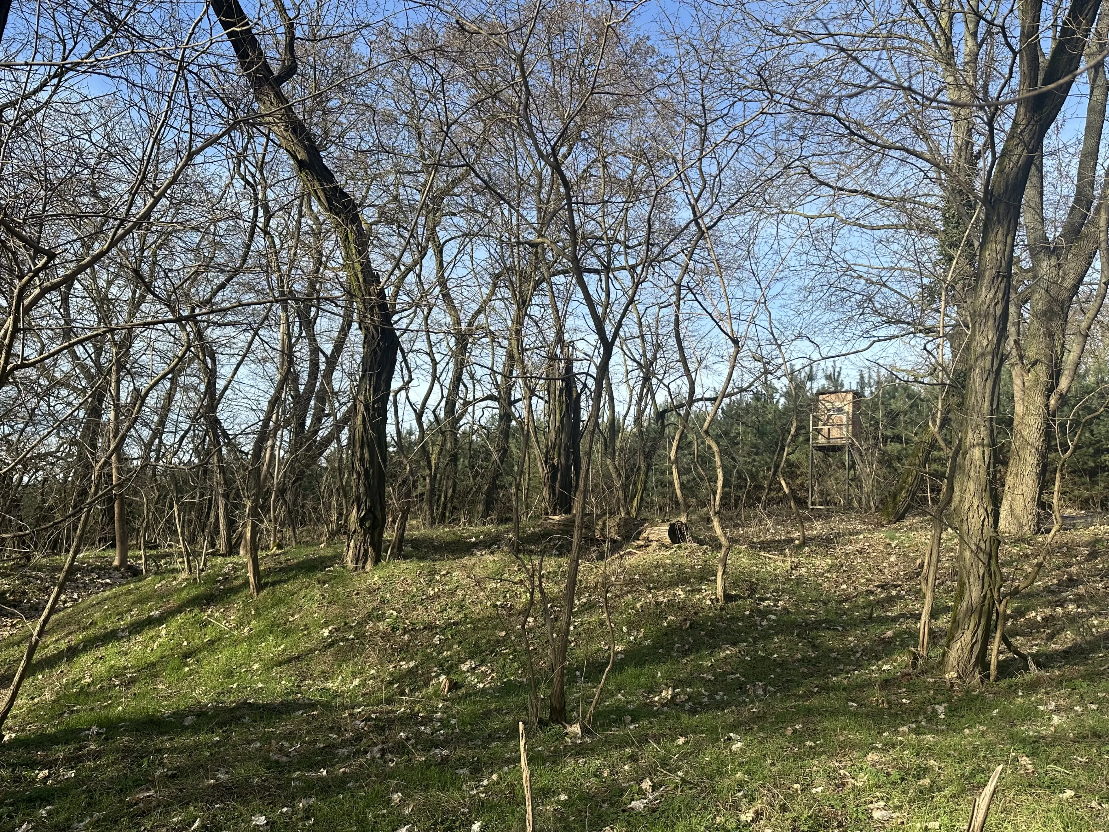 2 vrije percelen van totaal 4.710 m² in Spremberg, Brandenburg - Duitsland