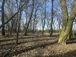 5 percelen van totaal 5.659 m² in Unterwellenborn, Thüringen - Duitsland