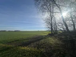 5 percelen van totaal 5.659 m² in Unterwellenborn, Thüringen - Duitsland