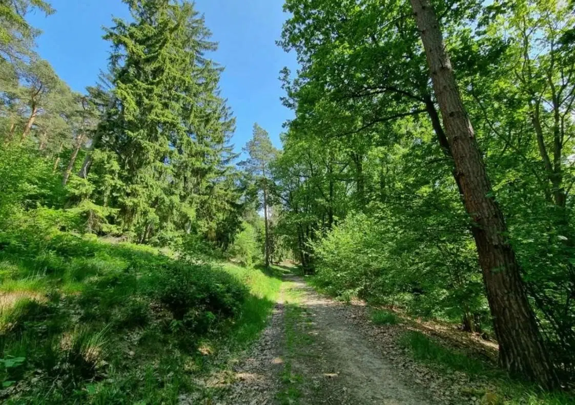 Ca. 1.440 m² eigendom perceel "off-grid" in Seebergen, Thüringen - Duitsland