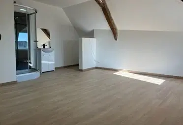 Gerenoveerd herenhuis met 6 slaapkamers/studo's in La Trimouille - Frankrijk