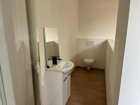Gerenoveerd herenhuis met 6 slaapkamers/studo's in La Trimouille - Frankrijk