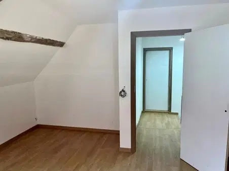 Gerenoveerd herenhuis met 6 slaapkamers/studo's in La Trimouille - Frankrijk