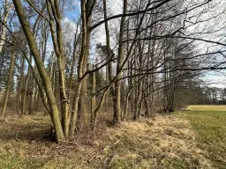 Ca. 5.060 m² perceel / bootcampbaan in Daubitz, Weißwasser - Duitsland